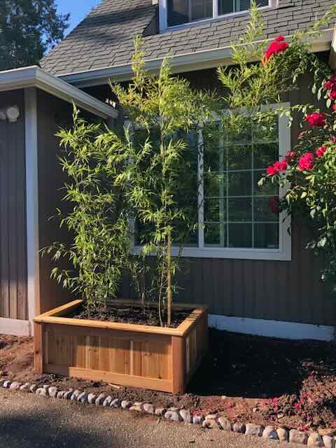 Building a cedar&nbsp;planter
